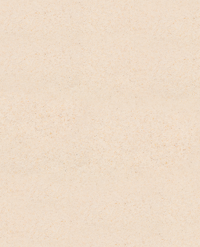 summer of jeep 배경