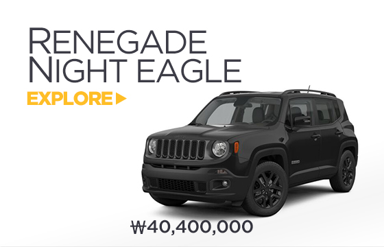 renegade night eagle