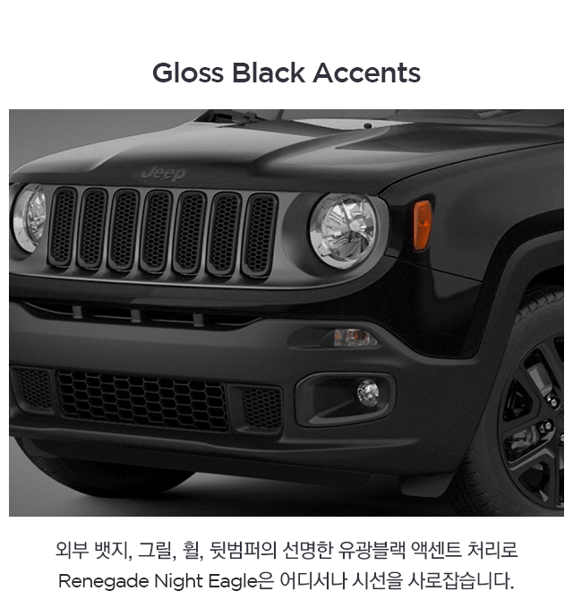 Gloss-Black-Accents