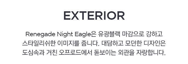 Renegade night eagle은 유광블랙 마감으로 강하고 스타일리쉬한 이미지를 줍니다.