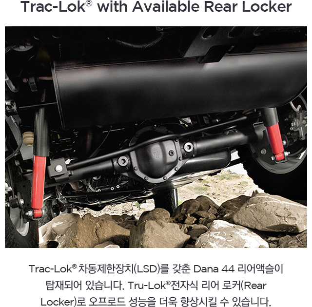 Trac-Lok_with_Available_Rear_Locker