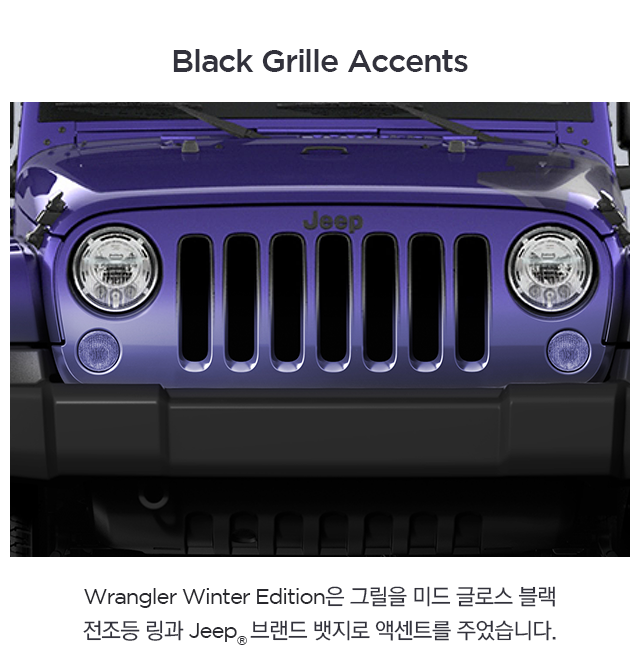 Black_Grille_Accents