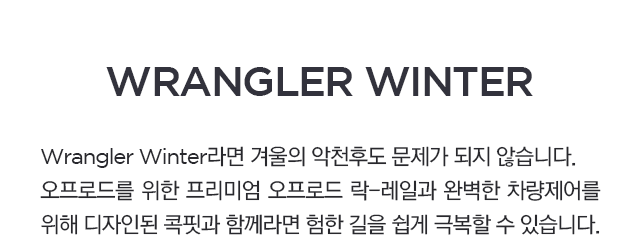 Wrangler Winter라면 겨울의 악천후도 문제가 되지 않습니다.